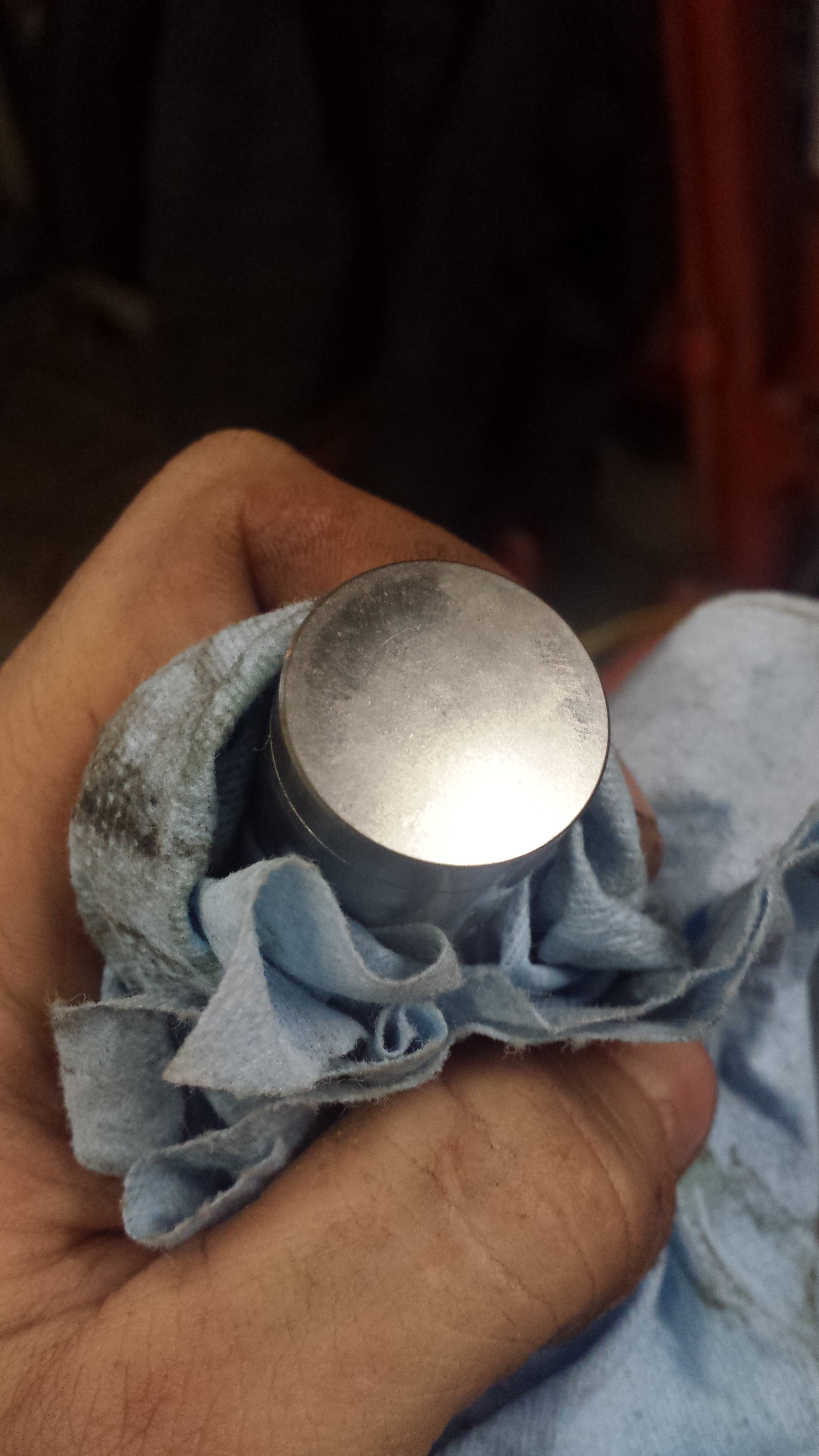 Unveiling Nuttianna Camphorifolia: The Navicular Lobe Mystery!