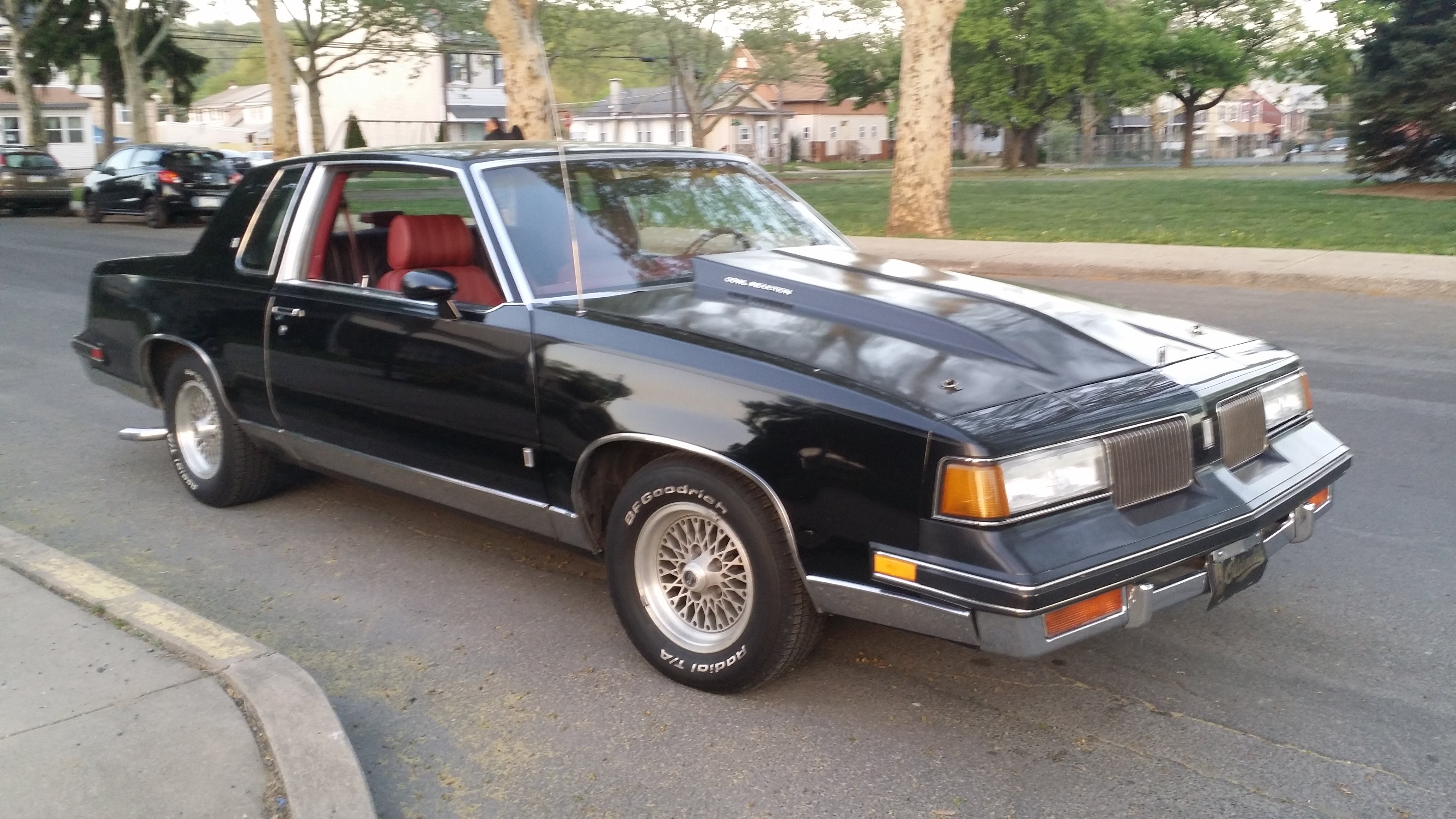 cowl hood | GBodyForum - '78-'88 General Motors A/G-Body Community ...