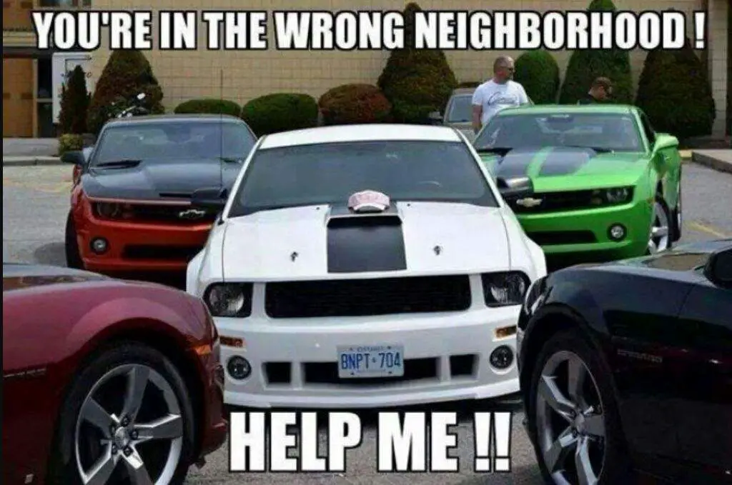 wrong neighborhood.jpg