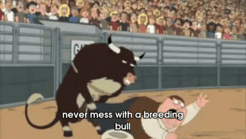 breeding-bull.gif